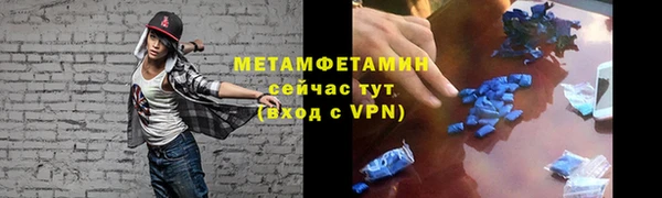 стаф Богданович